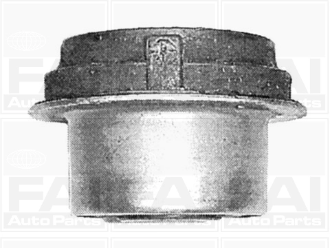 Mounting, control/trailing arm